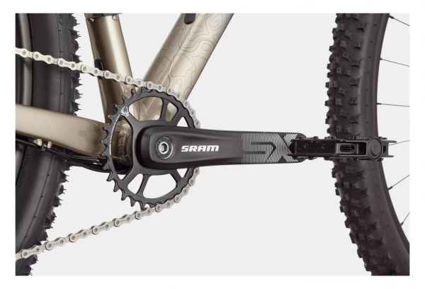 VTT Semi-Rigide Cannondale Trail SL 1 Sram NX/SX Eagle 12V 29'' Gris Meteor Beige 5 VTT Semi-Rigide Cannondale Trail SL 1 Sram NX/SX Eagle 12V 29'' Gris Meteor Beige – Image 3