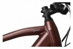 Vélo De Ville Électrique Bicyklet Raymond Shimano Acera 9V 504 Wh 27.5'' Rouge Bordeaux 18 Vélo De Ville Électrique Bicyklet Raymond Shimano Acera 9V 504 Wh 27.5'' Rouge Bordeaux -Vélo Soldes unnamed file 179