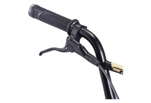 BMX Race Chase Element Pro XXXL 20'' Sable 2022 Bleu 6 BMX Race Chase Element Pro XXXL 20'' Sable 2022 Bleu – Image 4