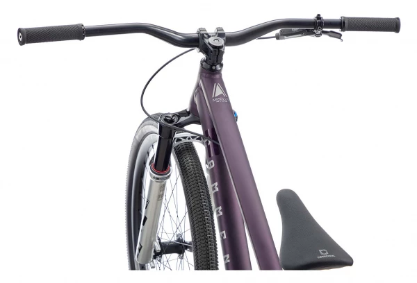 Vélo De Dirt Commencal Absolut RS Single Speed 26'' Violet Métal 2022 6 Vélo De Dirt Commencal Absolut RS Single Speed 26'' Violet Métal 2022 – Image 4
