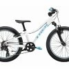 VTT Enfant 2020 Trek Precaliber 20'' Shimano Tourney 7V Blanc/Bleu -Vélo Soldes unnamed file 2681