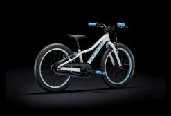 Vélo Enfant 2020 Trek Precaliber 20'' FW Chrystal White Blanc -Vélo Soldes unnamed file 2780