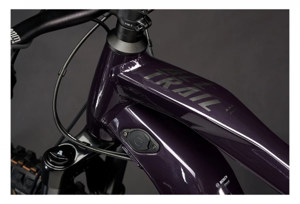 VTT Électrique Tout-Suspendu Haibike AllTrail 8 29 Sram SX Eagle 12V 625 Wh 29'' Violet Bleu Navy 2022 9 VTT Électrique Tout-Suspendu Haibike AllTrail 8 29 Sram SX Eagle 12V 625 Wh 29'' Violet Bleu Navy 2022 – Image 7
