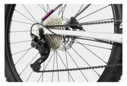 VTT Semi-Rigide Femme Cannondale Trail Women's SL 4 Shimano Deore 11V 29'' Violet Gris -Vélo Soldes unnamed file 3380