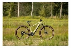 VTT Électrique Semi-Rigide Cube Reaction Hybrid EXC 750 29 Sram NX/SX Eagle 12V 750 Wh 29'' Vert Flash 2022 23 VTT Électrique Semi-Rigide Cube Reaction Hybrid EXC 750 29 Sram NX/SX Eagle 12V 750 Wh 29'' Vert Flash 2022 -Vélo Soldes unnamed file 4187