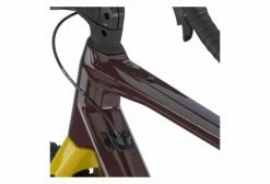 Gravel Bike BMC URS 01 Three Campagnolo Ekar 13V 700 Mm Violet Prune 2023 -Vélo Soldes unnamed file 4224