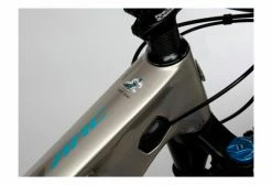 Yeti-cycles VTT Semi-Rigide Yeti ARC C1 Shimano SLX 12V 29'' Beige Dom 2022 -Vélo Soldes unnamed file 5712