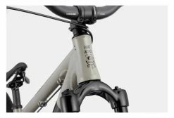 Vélo De Dirt Cannondale Dave Single Speed 26'' Gris Stealth 8 Vélo De Dirt Cannondale Dave Single Speed 26'' Gris Stealth -Vélo Soldes unnamed file 629