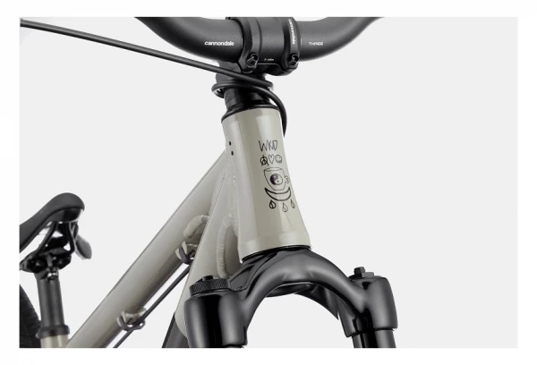 Vélo De Dirt Cannondale Dave Single Speed 26'' Gris Stealth 4 Vélo De Dirt Cannondale Dave Single Speed 26'' Gris Stealth – Image 3