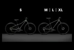 VTC Trek Dual Sport 1 Shimano Altus/Tourney 8V 700c Lithium Grey 2022 Gris / Beige -Vélo Soldes unnamed file 6635