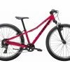 VTT Semi-Rigide Enfant Trek Precaliber 24'' Shimano Tourney 8V Rose 2022 8 - 12 Ans 1 VTT Semi-Rigide Enfant Trek Precaliber 24'' Shimano Tourney 8V Rose 2022 8 - 12 Ans -Vélo Soldes unnamed file 7058