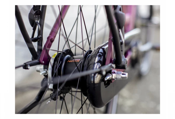 Vélo De Ville Trek District 2 Lowstep Equipped Shimano Nexus 7V Matte Mulberry 2021 Gris 5 Vélo De Ville Trek District 2 Lowstep Equipped Shimano Nexus 7V Matte Mulberry 2021 Gris – Image 3