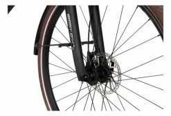Vélo De Ville Électrique Bicyklet Victoire Shimano Alivio 9V 400 Wh 700 Mm Vert Wood -Vélo Soldes unnamed file 825