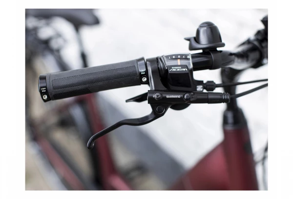 Vélo De Ville Électrique Trek Verve+ 4 Lowstep Bosch 500wh Shimano Deore 9V Matte Rage Red 2021 10 Vélo De Ville Électrique Trek Verve+ 4 Lowstep Bosch 500wh Shimano Deore 9V Matte Rage Red 2021 – Image 8