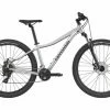 VTT Semi-Rigide Femme Cannondale Trail Women's 8 27.5 Shimano Tourney/Altus 8V 27.5'' Argent Sage Gray 1 VTT Semi-Rigide Femme Cannondale Trail Women's 8 27.5 Shimano Tourney/Altus 8V 27.5'' Argent Sage Gray -Vélo Soldes unnamed file 8664